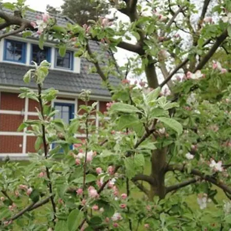 An Der Feuerwache 1 _steuermanns A Apartment *